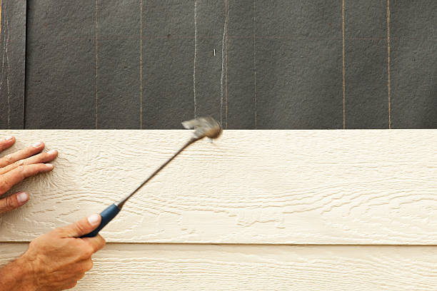 Best Historical Building Siding Restoration  in Rock Creek, MN